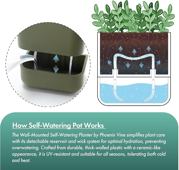 Phoenix Vine 3.5 Inch Wall Mounted Self-Watering Planter Pot for Indoor Houseplants and Herbs | Hanging Planter for Window Sills, Bathroom Walls, Home & Office Décor, Olive, Set of 3, 01-A-F-3