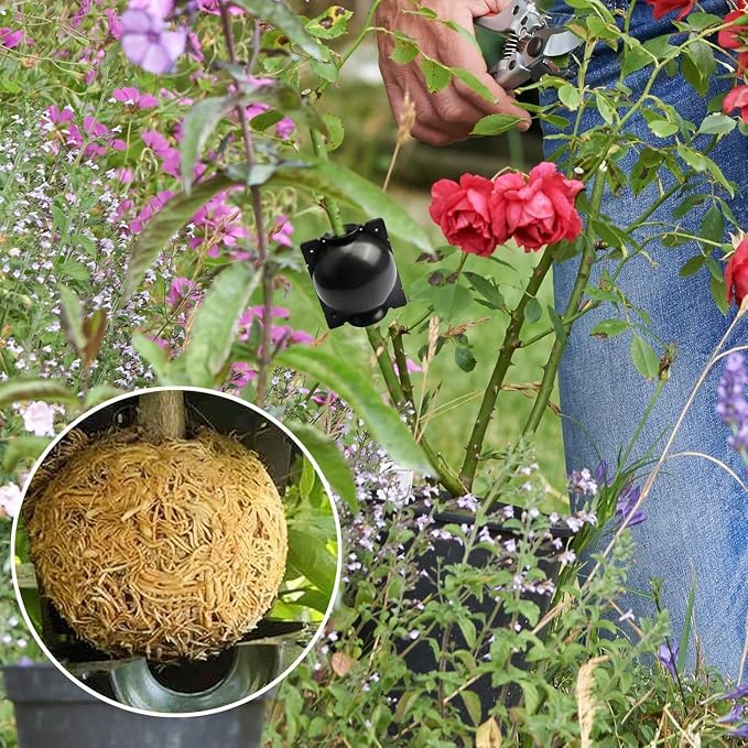 10 PCS Plant Propagation Stations Air Layering Pods, Reusable Rapid Root Plugs Air Layering Propagation Kit Grafting Kit Plant Propagation Ball Root Starter for Plants Cuttings Take Root