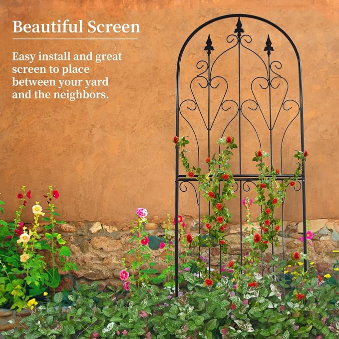 Garden Trellis 70.9" H x 25.6" W Metal Premium Quality Material Rust-Resistant Climbing Frame for Vines Flowers Elegant Garden Roses Vine Ivy Clematis Trellises Black