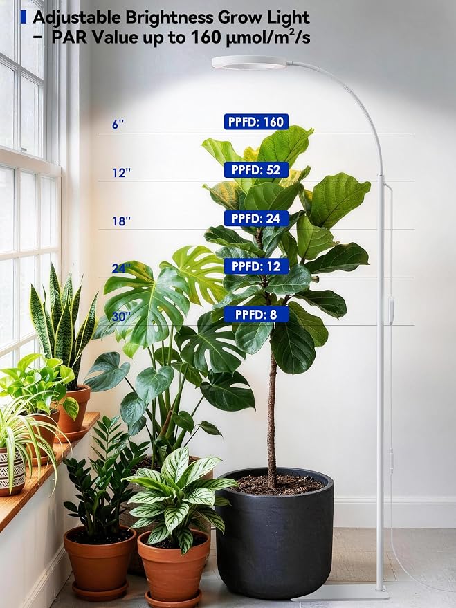 GLOWRIUM Grow Lights for Indoor Plants, Full Spectrum LED Grow Light Floor Lamp with Stand Adjustable Height and Angle, Black Plant Light with 3/9/12H Grow Light Timer (White, Dual Heads)