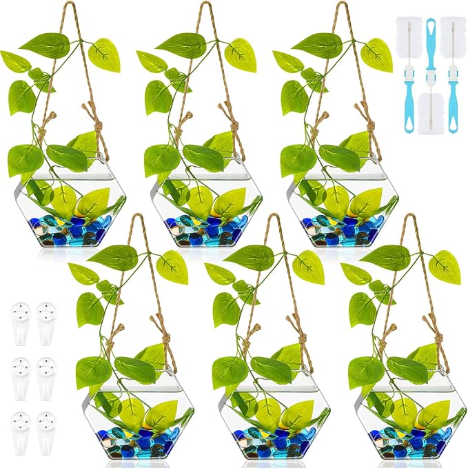 6 Pcs Wall Hanging Planter Glass Plant Pot Water Terrarium Containers Wall Vases for Flowers Air Hydroponic Propagation Glass Plant Holder Home Room Window Office(Hexagon)