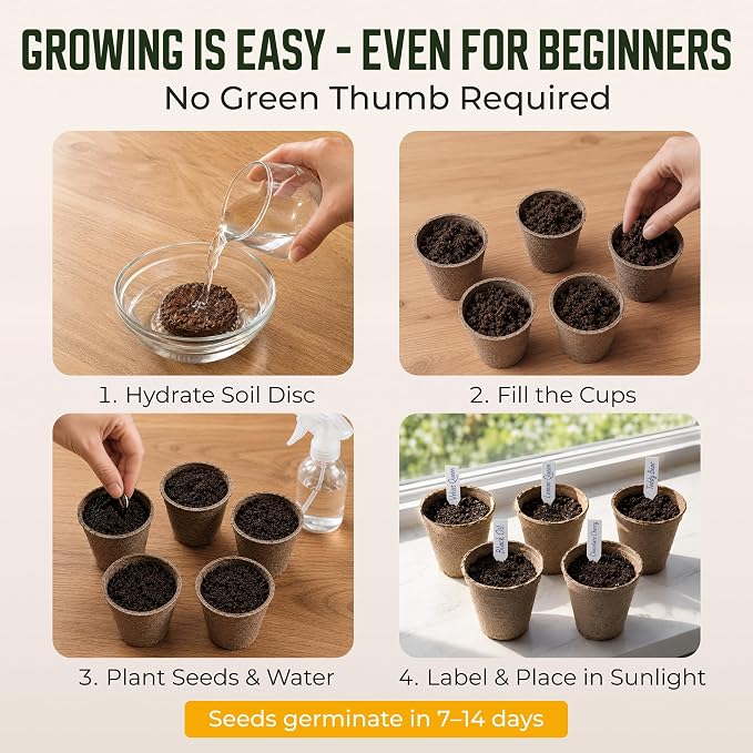 Sunflower Seed Growing Kit -All in One Sun Flower Garden Kit - A Complete Sunflower Gift - Beginner Starter Plants- Seed Variety Pack
