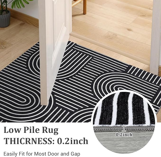 ROYHOME Modern 2x3 Washable Rugs for Entryway, Non Slip Soft Small Area Rug | Abstract Rug for Bedroom, Rainbow Bath Mat with Rubber Back, Low Pile Stain Resistant Geometric Carpet for Kitchen, Black