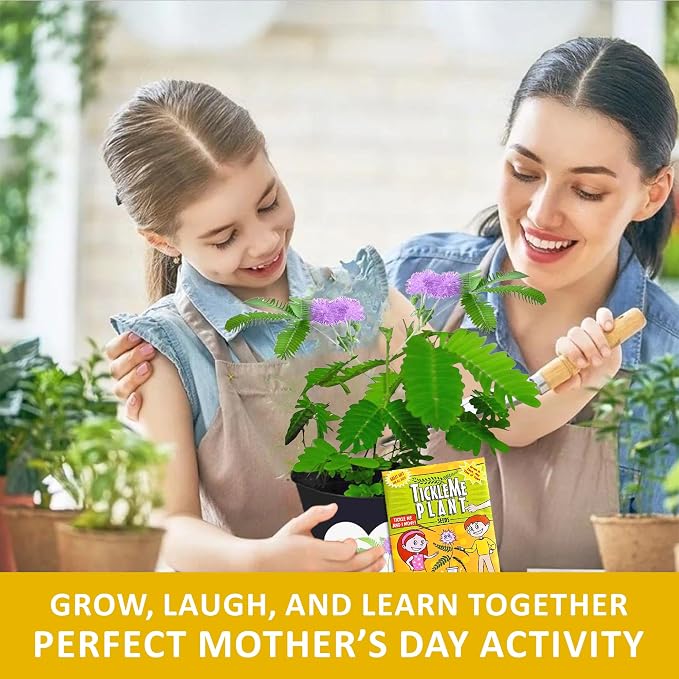 Birthday Gift for Mom – TickleMe Plant that Moves When Touched – Adult Plants Can Produce Pink Flowers – Unique Gift for Mom from Daughter, Son or Kids – Easy Indoor Grow Kit