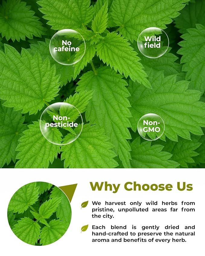 1.8 oz. Dried Nettle Leaf Tea Ortiga Planta Stinging Nettle Leaf Herb (Urtica Dioica) - 50g Herbal Tea Ortiga Verde Te
