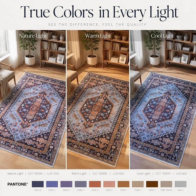 Ciicool 2x3ft Small Area Rug,Washable Boho Thin Mat for Entryway Kitchen | Oriental Non-Slip Low-Pile Indoor Carpet Soft Entry Rugs for Entrance Bedroom Kitchen Bathroom Foyer Decor