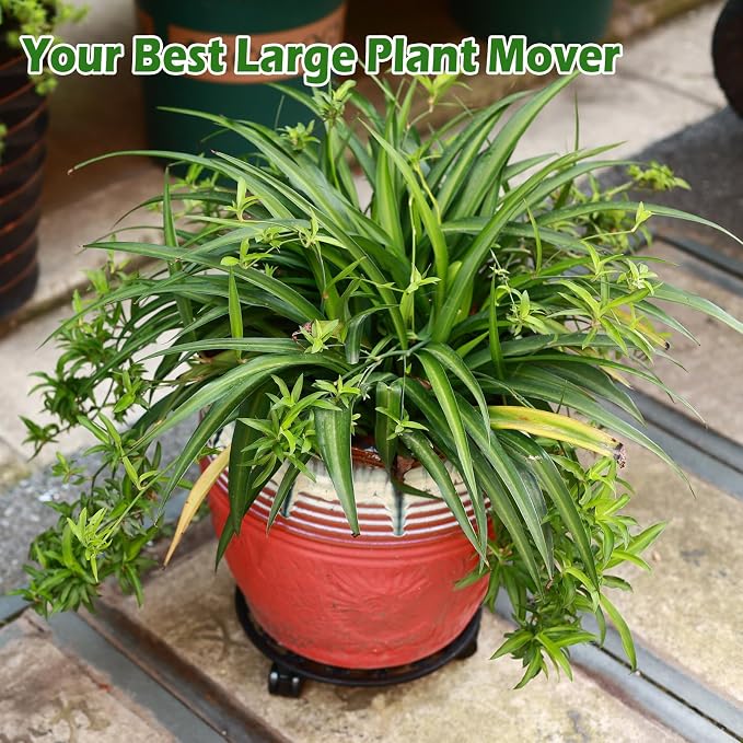 3 Packs 11 Inch Rolling Plant Stand with Wheels Wrought Iron Rolling Plant Stand with Casters Heavy Duty for Indoor Plants Rollers with Wheels Metal Round Plant Dolly