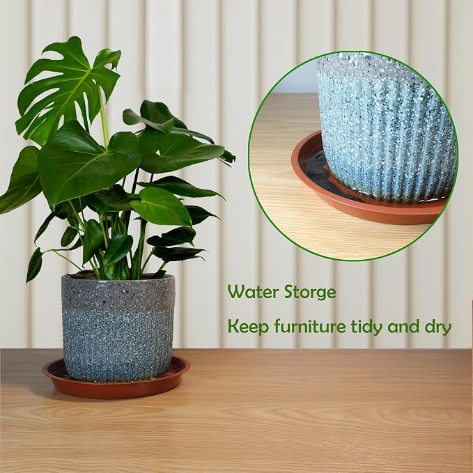 6 Pack 10 Inch Round Plant Saucers for Less 8 Inch Pot Indoors Outdoors Plant Trays for Pots Planter Saucer Plastic Drip Tray Planter Water Tray(Black, 10"(6pcs))