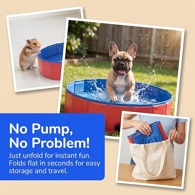 Foldable Dog Pool, 12 x 4 Inch Collapsible Pet Tub | Portable Hard Plastic Shell Wading Pool for Small Dogs, Cats, Puppies, Indoor Outdoor Bathing, Cooling & Easy Storage