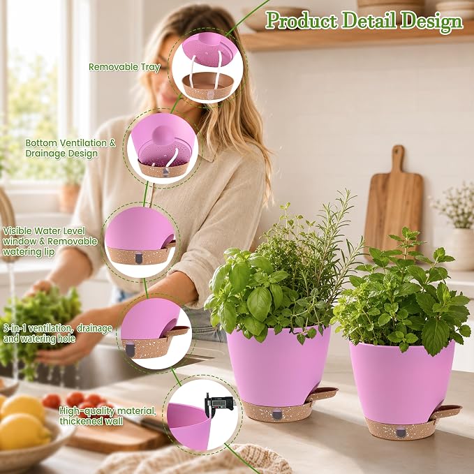 6 Inch Self Watering Pots for Indoor Plants(5-Pack) – Small Plastic Planters with Water Level Window, Drainage Holes & Trays, Indoor Outdoor Flower Pots for Herbs, Snake,Pothos (Dusty Rose/Pink)