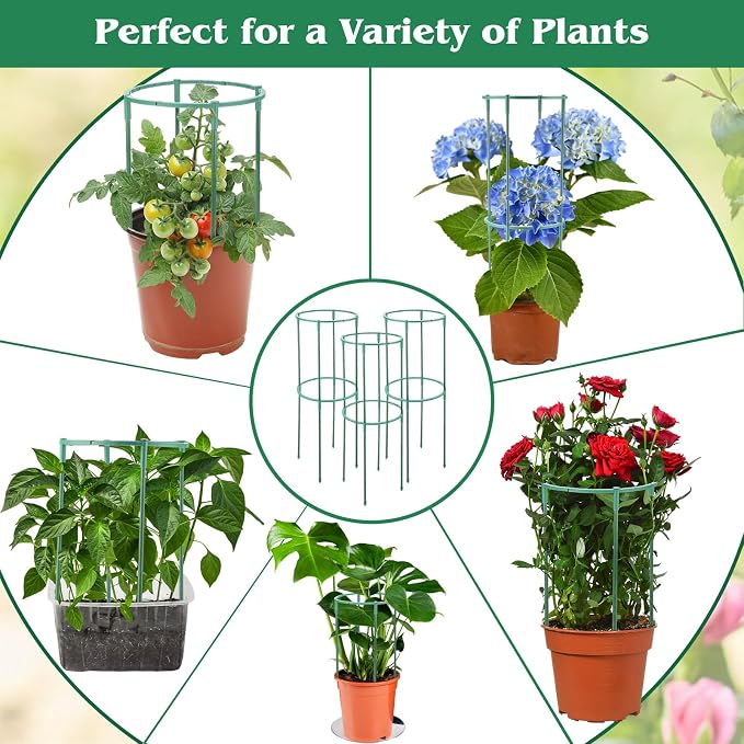 100 Pcs Plant Support Stake Half Round Plant Cage Stackable Garden Flower Support for Indoor Outdoor Flower Vegetable Tomato Peony Monstera Hydrangea Climbing Plants (6.2" W X 11.6" H)