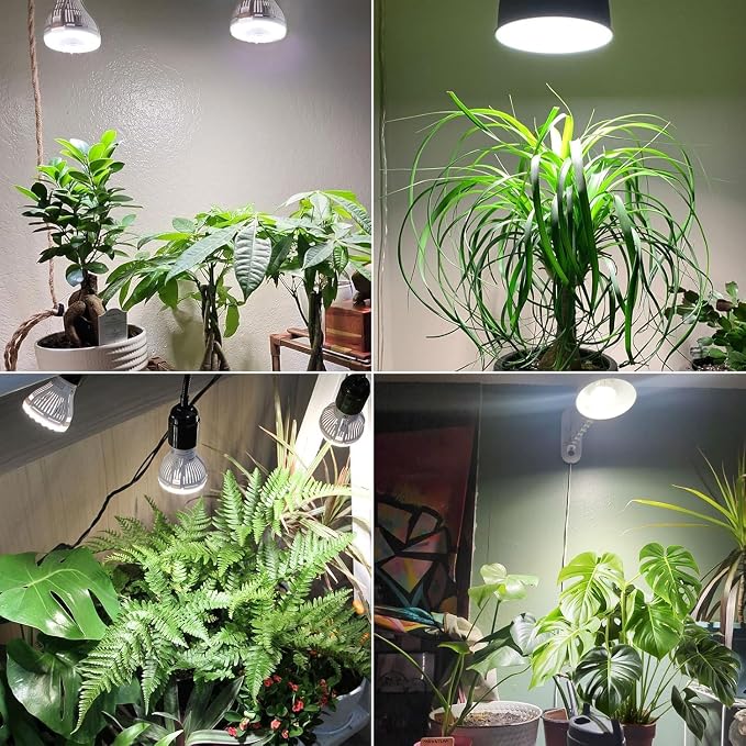 SANSI Dimmable Grow Light Bulb, Full Spectrum with Remote Control, Auto On Off Timing 4 8 12 Hrs, 5W PAR20 (75 Watt Equiv) Grow Lamp with Optical Lens for High PPFD, Energy Saving for Indoor Plants