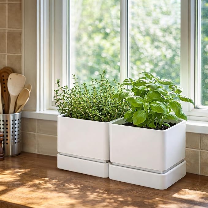 D'vine Dev 6 Inch Herb Planter Pot, Plastic Planter with Drainage Holes and Saucer, Modern Decorative Gardening Pot for Indoor Plants, Flowers, Herbs, Succulents, White, Set of 2, 76-Y-A2-2