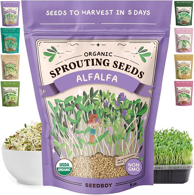 Seedboy Organic Non-GMO Alfalfa Seeds for Sprouting - Microgreens Sprouting Seeds - 8 oz Bag Makes 8 Quarts / 32 Servings (Alfalfa)