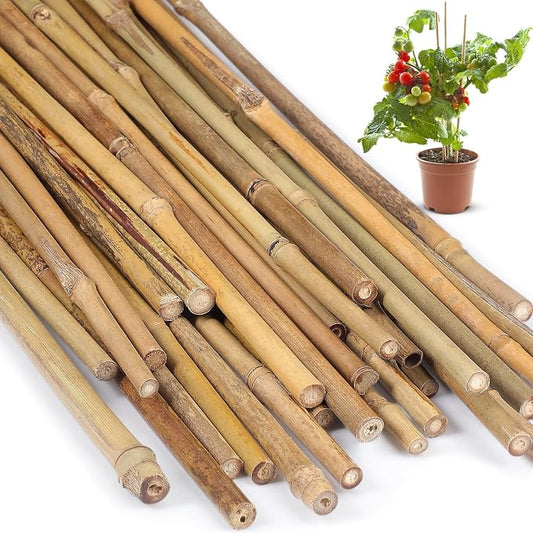 Suclain 30 Pcs Bamboo Plant Stakes Natural Garden Support Sticks for Climbing Plants Sturdy Bamboo Garden Stakes for Tomato, Beans, Flowers and Potted Plants, Vegetables, Indoor & Outdoor (1.35 ft)