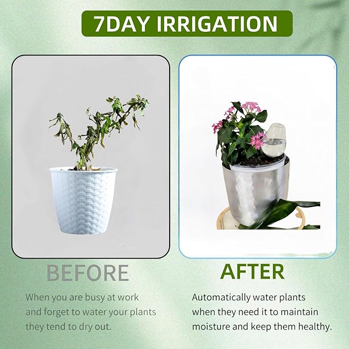 Self Watering Globes with Slow Release & Top Fill, 12.3 oz Automatic Watering Globes for Outdoor & Indoor Plants - Keep Plants Alive While on Vacation (Clear-4 Pack)