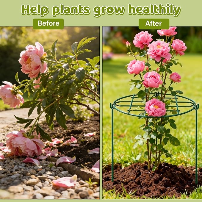 TTQ 8 Pack 12 x 15.7 inch Peony Cages and Supports,Metal Grow Through Plant Supports for Outdoor Plants,Flowers Support Rings Top-Heavy Plant Brace Support Hoop for Vegetables,Rose,Tomato,Orchids