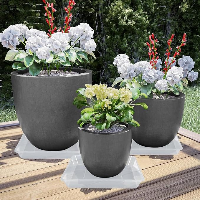LWALRS Square Plant Saucer 6 Inch 5 Pack, Strong Clear Plastic Flower Plant Pot Saucer, Square Planters for Indoors and Outdoors Plants, Garden Plant Saucers for Pots Plant Trays.