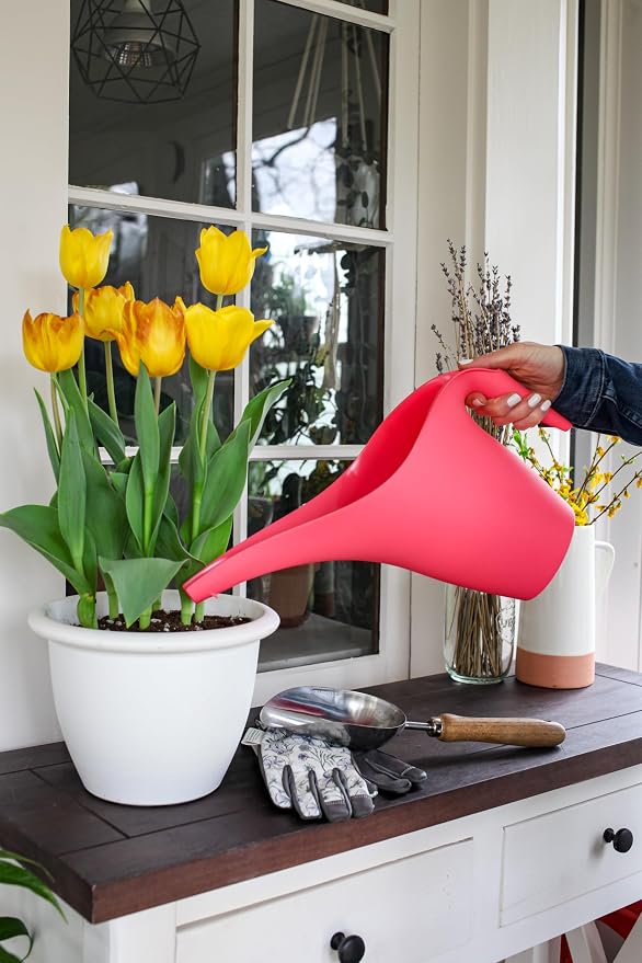 The HC Companies 1/2 Gallon Essential Watering Can for Indoor Outdoor Plants, Cottage Stone (Pack of 2)