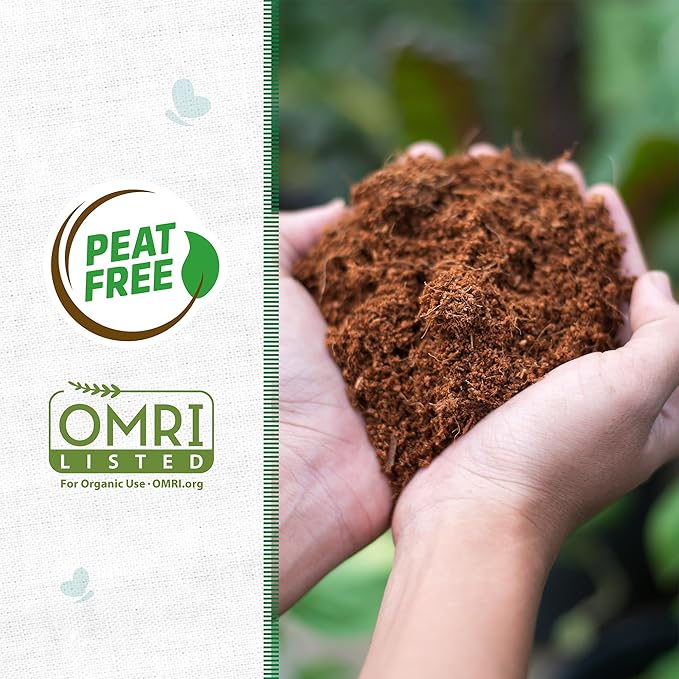 Back to The Roots Organic Coir, 51 Quart Expanding Soil, Great for Seeds and Potting (Pack of 4)