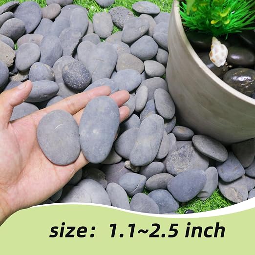 River Rocks Mexican Beach Pebbles (Large, 3LB)