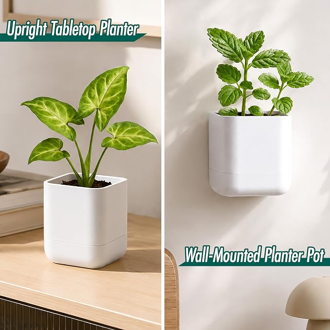 Phoenix Vine 3.5 Inch Wall Mounted Self-Watering Planter Pot for Indoor Houseplants and Herbs | Hanging Planter for Window Sills, Bathroom Walls, Home & Office Décor, White, Set of 3, 01-A-D-3