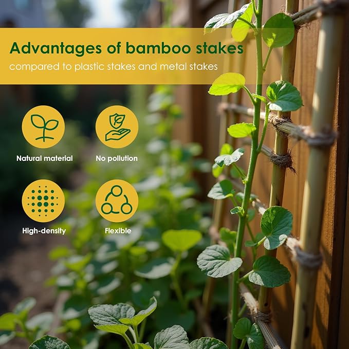 Cambaverd Bamboo Stakes, 50 Pack Bamboo Stakes 4ft, Natural Garden Stakes for Tomatoes and Climbing Plant Support, Sturdy Bamboo Sticks for Plants