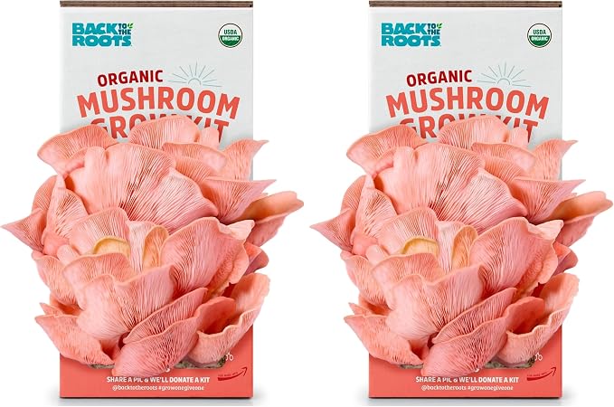 Back to the Roots Organic Pink Mushroom Grow Kit, Harvest Gourmet Mushrooms in 10 Days (Pack of 2)