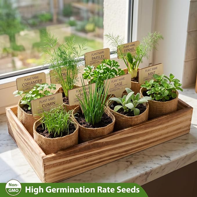 LUOJIBIE Herb Garden Kit Indoor, Herb Growing Kit with Seeds & Tools | Birthday Gifts for Women Men Mom Dad Girls Boys, House Warming Gifts New Home, Anniversary Wedding Gifts, Kitchen Décor