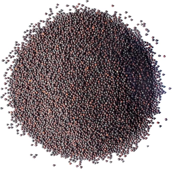 Food to Live Broccoli Seeds for Sprouting, 4 Pounds – Vegan, Kosher, Sirtfood, Bulk, Rich in Sulforaphane, Vitamin C, Vitamin A, for Growing Sprouts, Microgreens, High Germination Rate