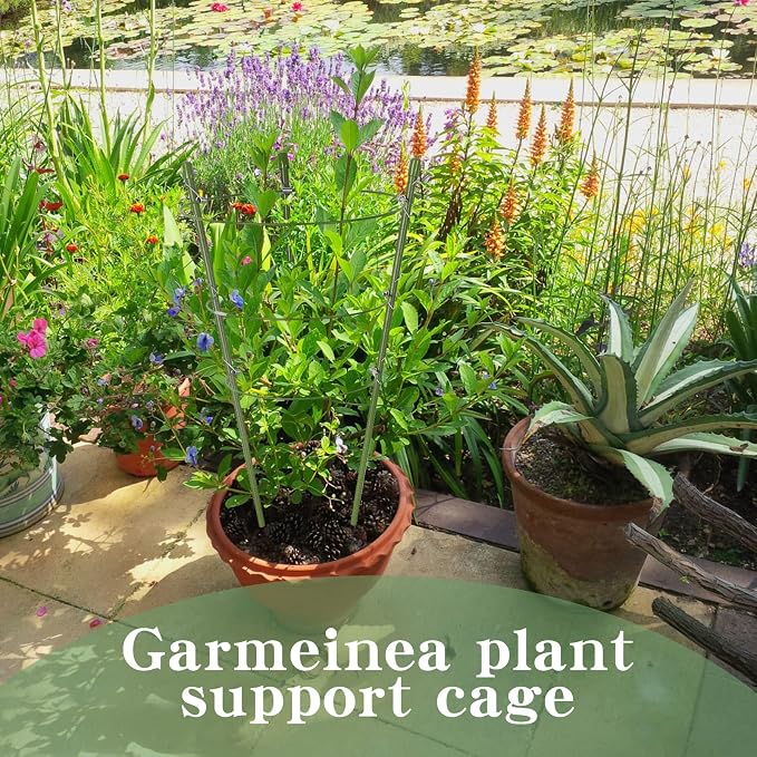 Garmeinea 6 Pack Plant Support Cages 18 Inches Small Tomato Cages and Supports with Adjustable Rings for Garden Pots, Climbing Plants, Bonus 98 Feet Twist Ties