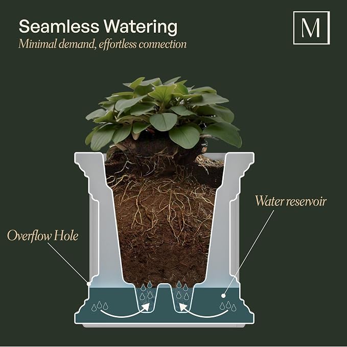 Mayne Cape Cod 20-Inch Square Planter – Self-Watering, Weather-Resistant Planter for Flowers – Durable Outdoor Design for Patio, Porch, or Entryway
