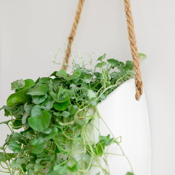 Kazai. Wall Planters -Ellie- | Hanging Ceramic Plant Pots 2 Pieces | Wall Decoration for Indoors, Balcony and Garden | White (Matte)