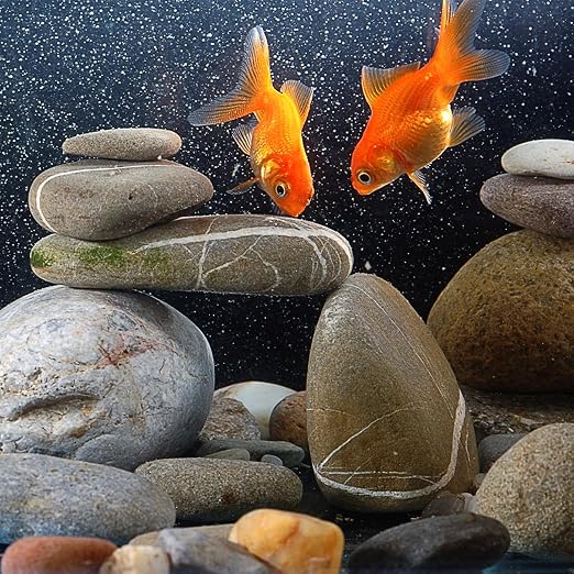 Pulovin 40 lbs River Rocks for Landscaping, 2"-3" Decorative Garden Stones for Plants, Flower Pots, Vase, Walkways, Yard, Natural Rocks for Aquarium, Fish Tank