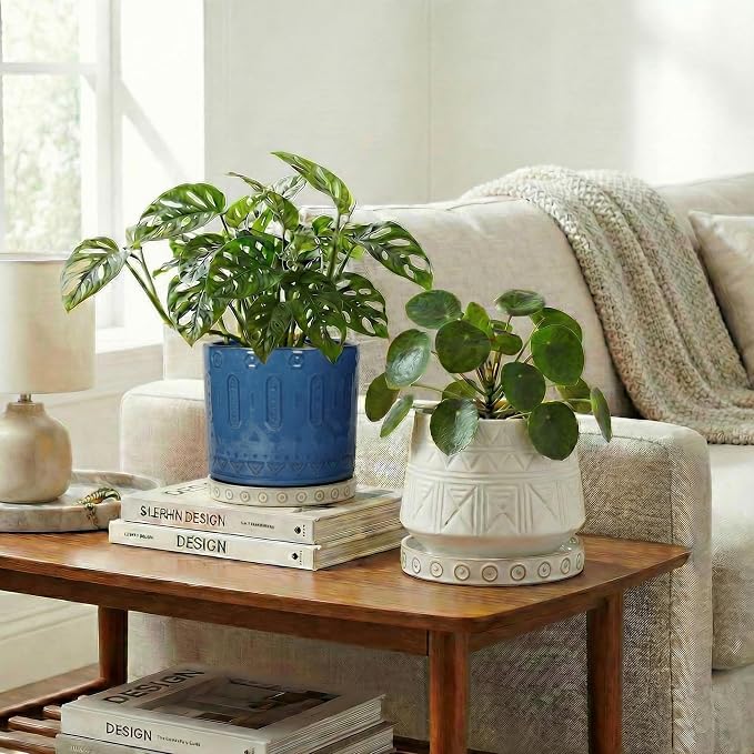 Eightpot Ceramic Plant Saucer, 2 Pack Plant Trays for Pot, 5.6 Inch Plant Pot Saucers for Indoor Outdoor, Round Plants Plates to Catch Water, Boho Decorative Plants Dishes to Catch Water, Cream White