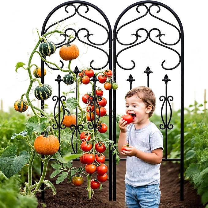 AMAGABELI GARDEN & HOME 4 Pack Large Garden Trellis for Climbing Plants Outdoor 60” x 18” Iron Plant Trellis for Potted Plant Support Tall Wall Metal Trellis Rose Vine Cucumber Bronze