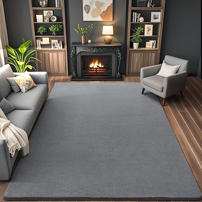 AROGAN 4x6 Area Rugs for Living Room Non Slip Dorm Bedroom Rug, Grey | Modern Area Rugs with Soft Memory Foam, Minimalist Washable Indoor Floor Carpet for Dining Room Office Kids Playroom Decor