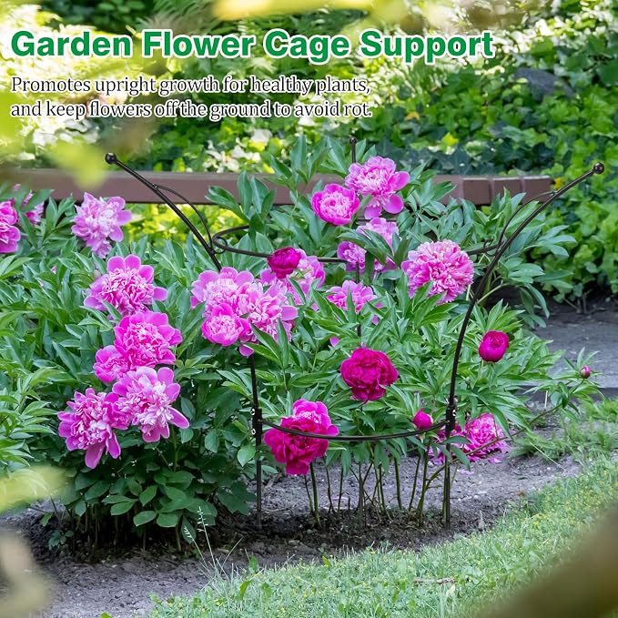 2 Pack Peony Cages and Supports Cages 13" D x 22.8" H Heavy Duty Metal Support Frame for Peonies & Roses Natural Bouquet Shape Garden Stakes for Outdoor Plants Flowers Ornamental (Black)