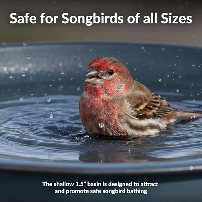 Sunnydaze Gleeful Garden 23" Iron Pedestal Bird Bath for Outside - Modern Shallow Basin Birdbath for Outdoors with UV-Protected Rust-Resistant Finish for Patio, Garden, Yard Decor - Matte Blue
