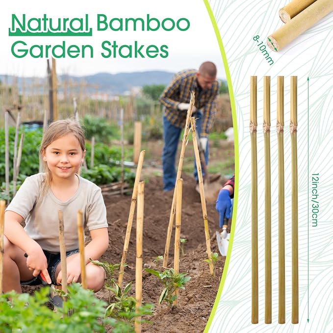 Suclain 200 Pcs Bamboo Plant Stakes Natural Garden Support Sticks for Climbing Plants Sturdy Bamboo Garden Stakes for Tomato, Beans, Flowers and Potted Plants, Vegetables, Indoor & Outdoor (1 ft)