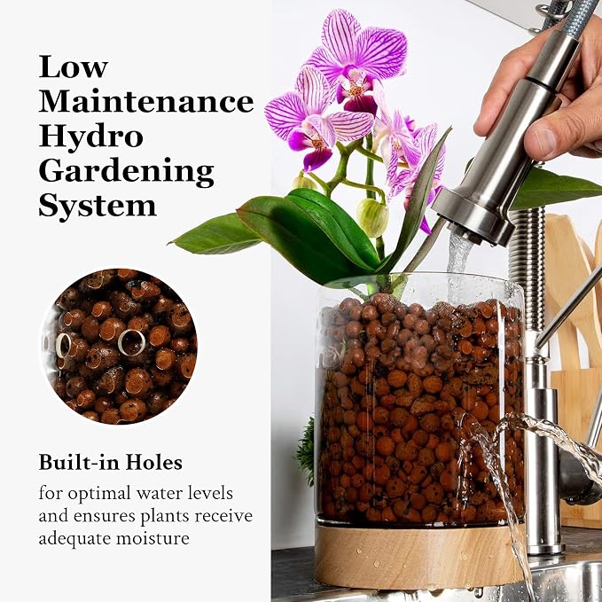 Pot & Pebble C3 Glass Orchid Pot, Wood Base - LECA Semi-Hydroponic Planter