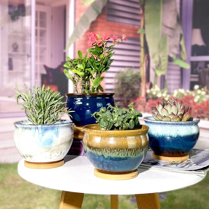 5.5 Inch Succulent Pot with Drainage and Free Saucer Glazed Terracotta Round Ceramic Succulent Planter Cactus Bonsai Plant Pot (Set of 4)
