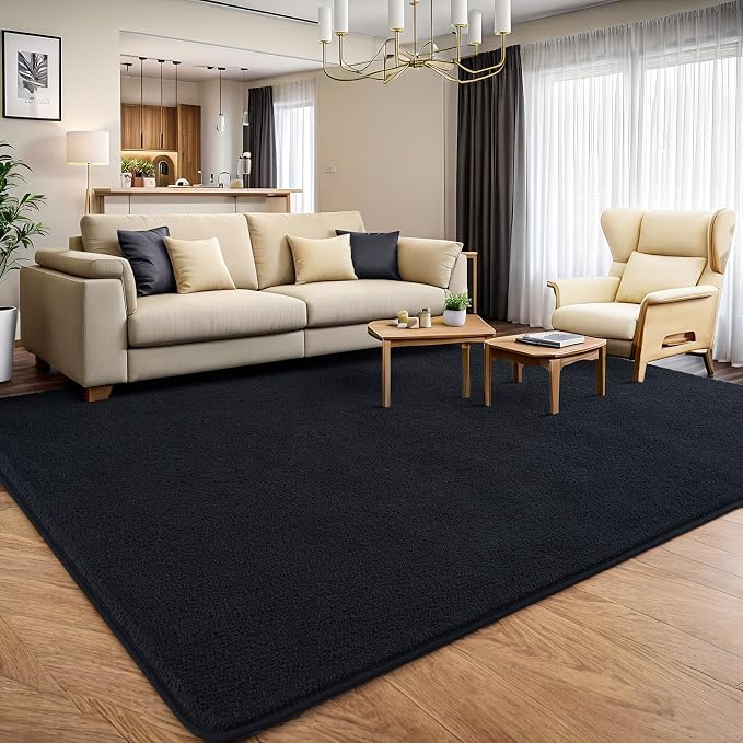 AROGAN 4x6 Area Rugs for Living Room Non Slip Dorm Bedroom Rug, Black | Modern Area Rugs with Soft Memory Foam, Minimalist Washable Indoor Floor Carpet for Dining Room Office Kids Playroom Decor