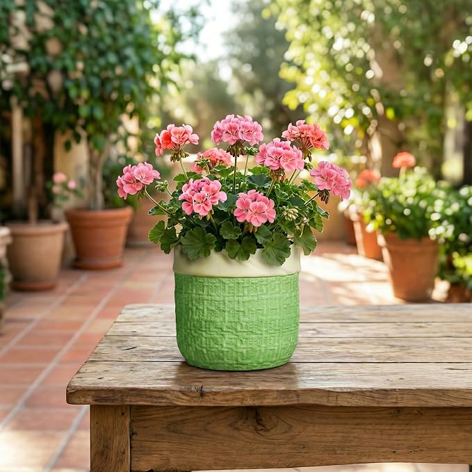 Ceramic Plant Pots - 6 Inch Plant Pot with Drainage Hole, Boho Planters for Indoor Succulent Plants, Decorative Round Unique Flower Pots, Garden Home Office Decor, Housewarming Gifts, Green