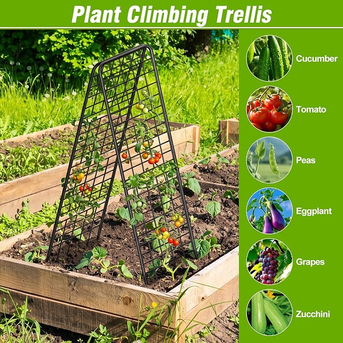 NANANARDOSO 2 Pack Cucumber Trellis, Heavy Duty A-Frame Trellis for Climbing Plants, Metal Garden Trellis Plant Support for Raised Beds, Tomato, Pea, Zucchini.
