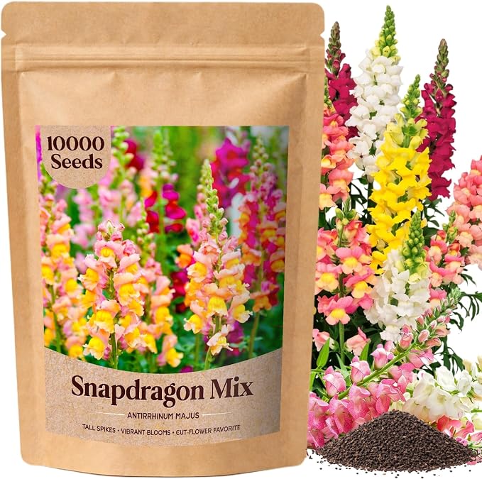 10000+ Snapdragon Seeds Bulk Pack, 5-Color Mixed Snapdragon Flower Seeds for Planting, Antirrhinum Majus Seeds for Borders, Pots, Flower Beds & Cut Flower Gardens, Instructions Included