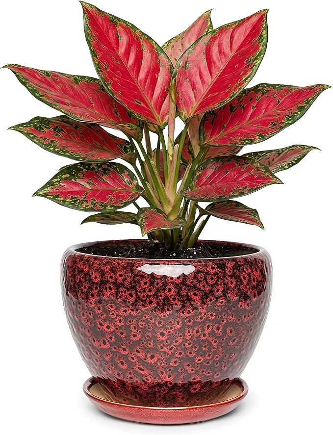 7.5 Inch Ceramic Plant Pot with Drainage Hole Mesh Net,Modern Gardening Pots for Indoor Plants with Saucer, Speckle Red