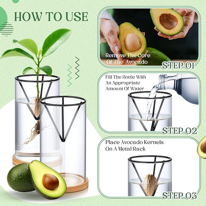Baderke 6 Pcs Glass Avocado Tree Growing Kit Avocado Seed Starter Vase Planter Including Glass Vases with Wooden Bases and Metal Brackets for Indoor Outdoor Garden Office Decoration