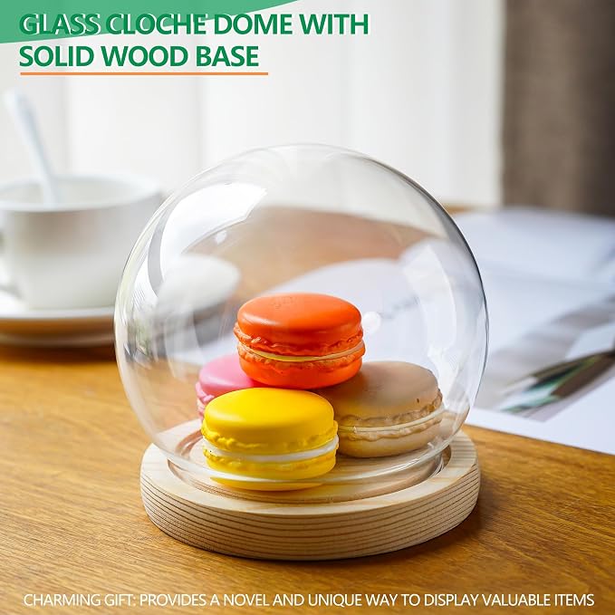 ZEERSHEE Glass Display Dome Cloche with Wooden Base, 4.7" Round Bell Jar | Clear Glass Cover with Secure Wood Base, Perfect for Plants, Collectibles, Desserts & Home Displays