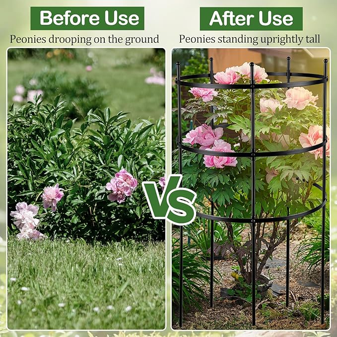 4 Set Titan Peony Plant Support Stakes Black Metal Peonies Cages 17.7" D x 35.4" H Tomato Cages Rings Sturdy Garden Plants Support Trellis for Climbing Plants